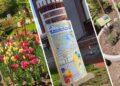 ZIUA COMPLEXULUI MUZEAL DE ŞTIINŢELE NATURII „ION BORCEA” BACĂU