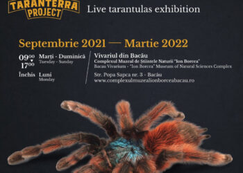 Expoziție de tarantule vii la Vivariu!