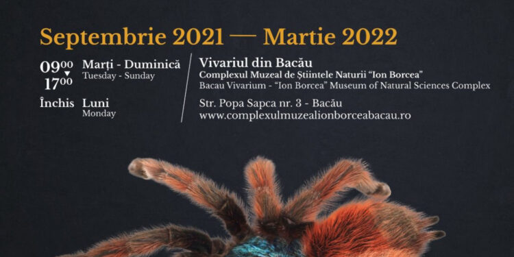 Expoziție de tarantule vii la Vivariu!