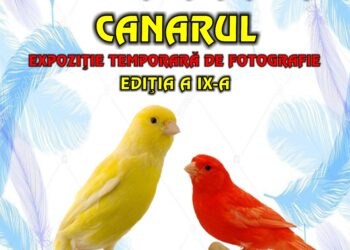 „SUNET ŞI CULOARE ÎN LUMEA PĂSĂRILOR – CANARUL” la Complexul Muzeal de Ştiinţele Naturii „Ion Borcea” Bacău