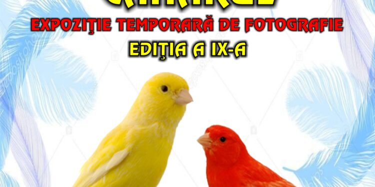„SUNET ŞI CULOARE ÎN LUMEA PĂSĂRILOR – CANARUL” la Complexul Muzeal de Ştiinţele Naturii „Ion Borcea” Bacău