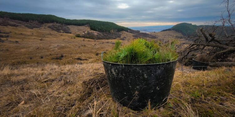 HS Timber Group a sprijinit în anul 2021 proiecte sociale de peste 5,06 milioane de Euro