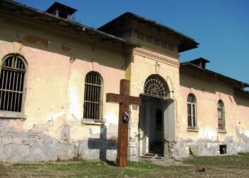 Scrisoare deschisă domnului Nicolae-Ionel Ciucă, prim-ministru României