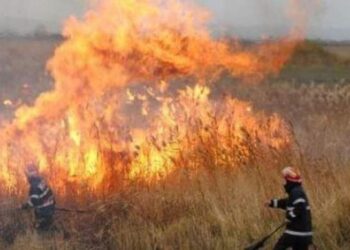 Se poate incendia vegetația? Reguli și proceduri