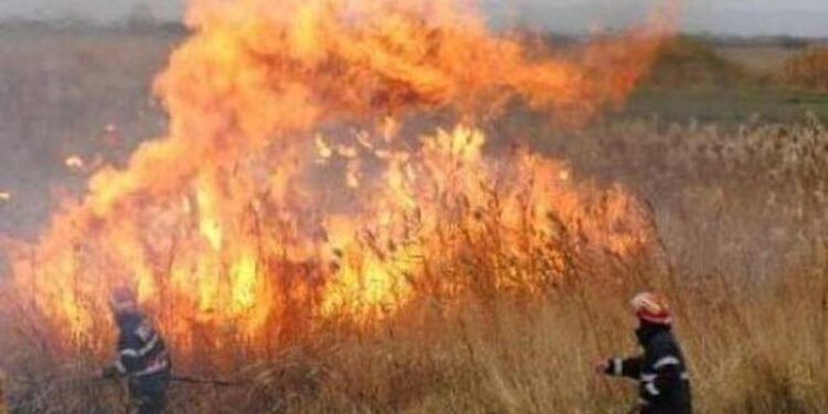 Se poate incendia vegetația? Reguli și proceduri