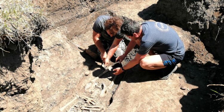 CERCETĂRILE DE ARHEOLOGIE JUDICIARĂ DESFĂȘURATE LA TÂRGU OCNA, JUD. BACĂU (Campania a VII-a / 2022