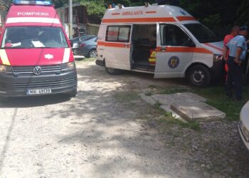 Doi turiști, atacați și răniți de un urs, în timpul zilei, în stațiunea Slănic Moldova
